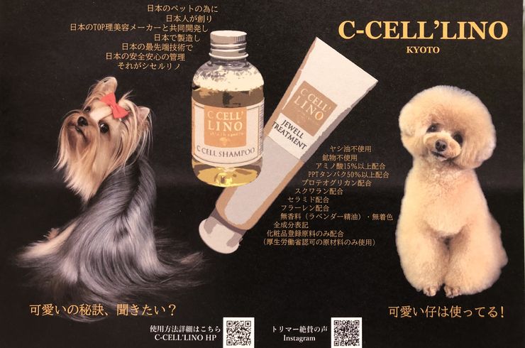 New shampoo導入いたします❣❣究極の被毛ケア✨✨ シセルリノ