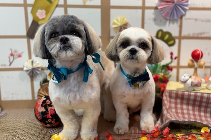 7月 NewFace✨ Part.3＆birthday🎂